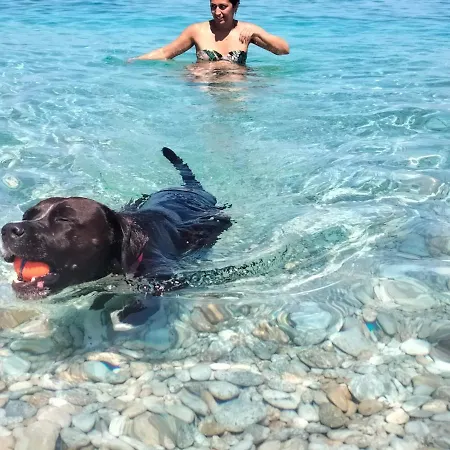 וילה Casa Morello