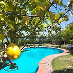Villa Casa Morello *
