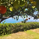 Casa Morello Villa Zambrone