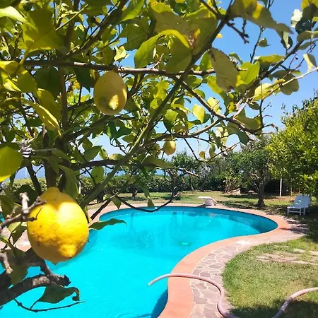 빌라 Casa Morello *