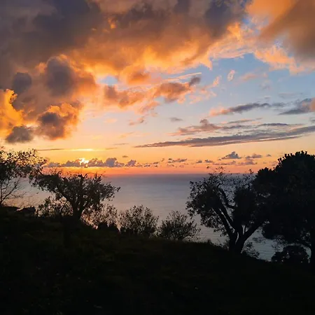 Casa Morello 잠브로네