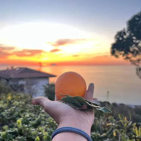 Casa Morello * Zambrone