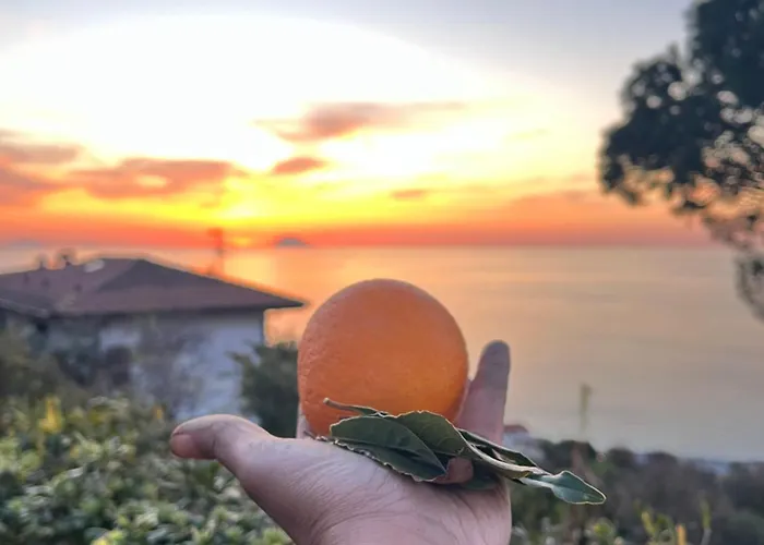 Casa Morello * Zambrone