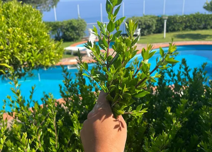 Casa Morello Villa *